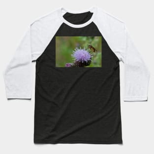 Dance Fly on Thistle Flower Baseball T-Shirt